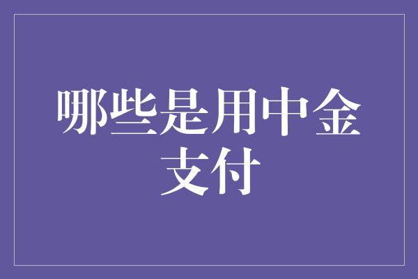 哪些是用中金支付