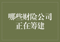 保险界的新兴势力：聊聊那些正在筹建的财险公司