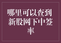 新股中签率查询指南：从股市新手到老股民的必修课