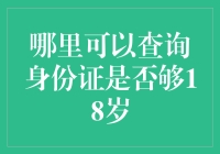 如何精准查询身份证是否年满18岁：一份详尽的指南