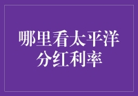 太平洋分红利率：寻求稳定收益的投资选择