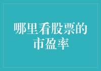 如何高效获取股票的市盈率：专业投资者的指南