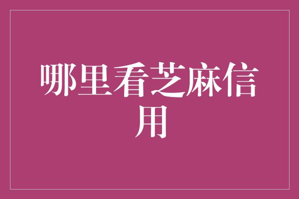 哪里看芝麻信用