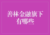 善林金融旗下业务综述：多元化金融服务平台的构建与实践