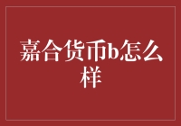 嘉合货币B：稳健理财的选择还是市场波动的牺牲品？