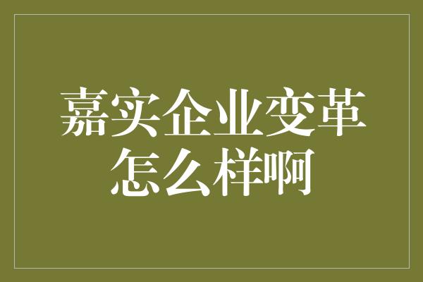 嘉实企业变革怎么样啊