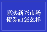 嘉实新兴市场债券A1: 了解投资策略与表现