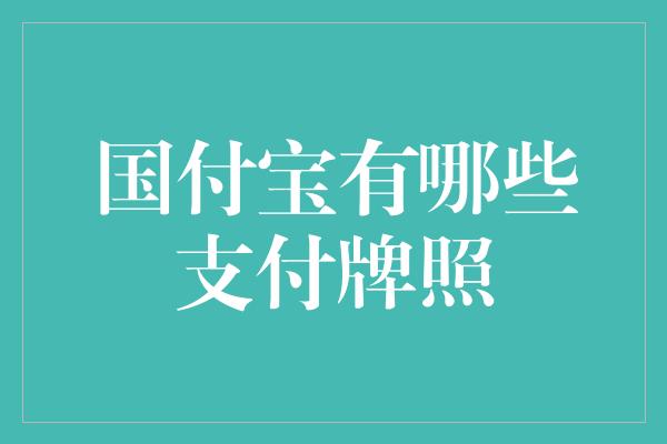 国付宝有哪些支付牌照