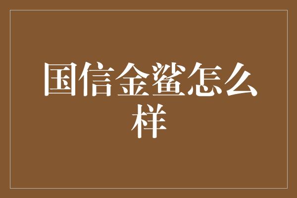 国信金鲨怎么样