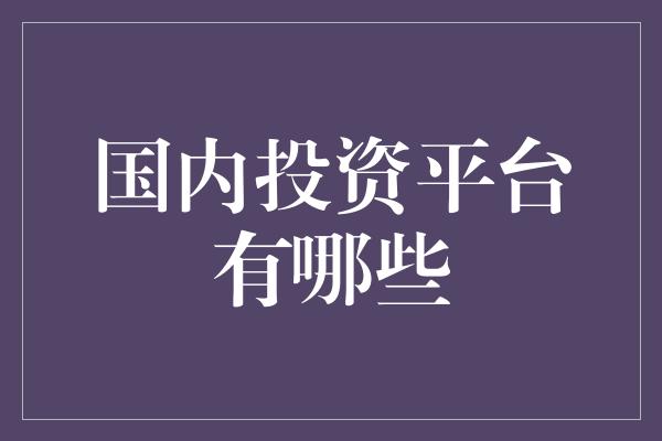 国内投资平台有哪些