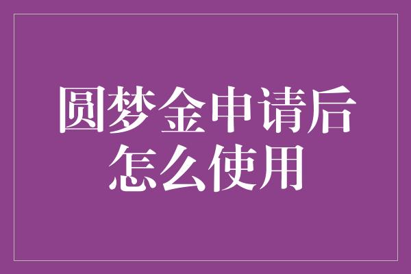 圆梦金申请后怎么使用