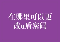 如何在不同场景下安全地更改U盾密码：一份详细的指南