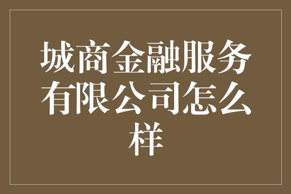 城商金融服务有限公司怎么样