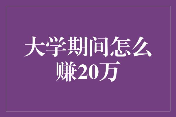 大学期间怎么赚20万