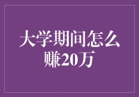 大学生创业指南：大学期间如何赚取20万元