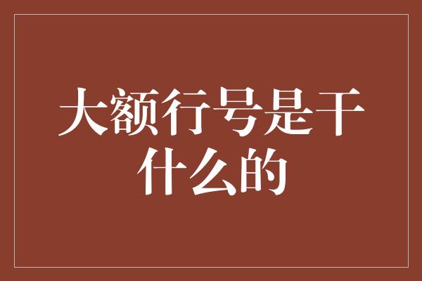 大额行号是干什么的