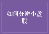 如何分辨小盘股？——如果你能在股市里找到它，它就是！