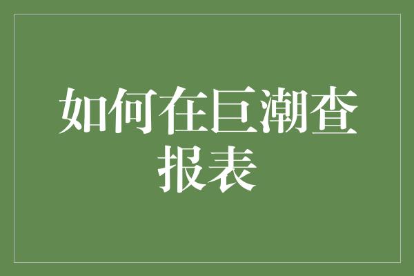 如何在巨潮查报表