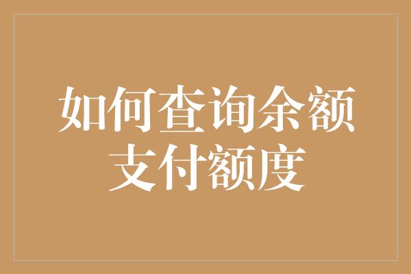 如何查询余额支付额度