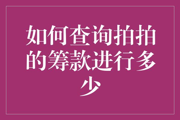 如何查询拍拍的筹款进行多少