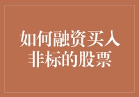 投资大师教你如何在股市乾坤大挪移，轻松融资买入非标股票