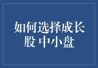 如何选择成长股：以中小盘为代表，与妖精做个交易