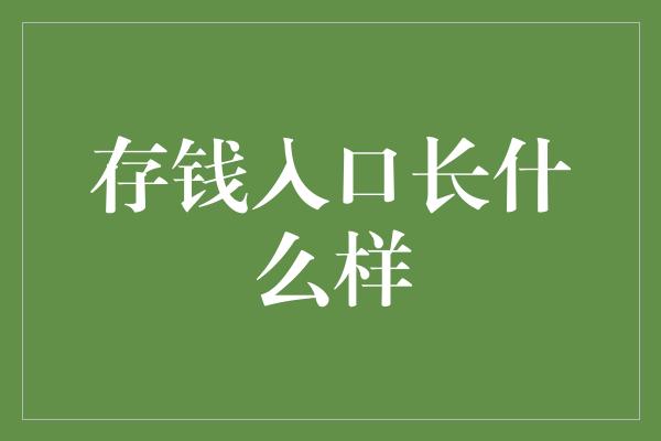 存钱入口长什么样