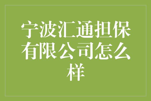 宁波汇通担保有限公司怎么样