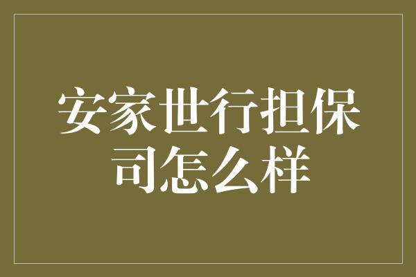 安家世行担保司怎么样