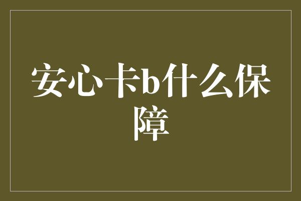 安心卡b什么保障