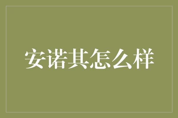 安诺其怎么样