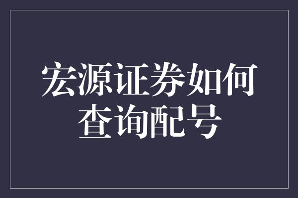 宏源证券如何查询配号