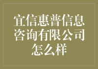 宜信惠普信息咨询有限公司的发展历程与行业地位探析