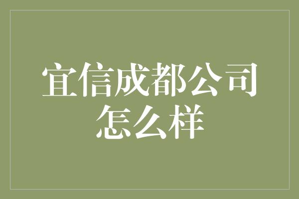 宜信成都公司怎么样