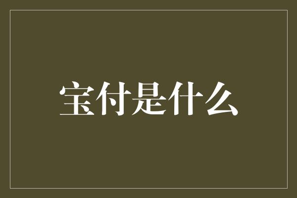 宝付是什么