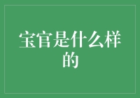 宝官：一种独特的社会角色及其文化现象解析