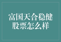 富国天合稳健股票：稳健投资策略的典范