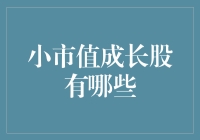 小市值成长股的发掘：市场中的隐形冠军