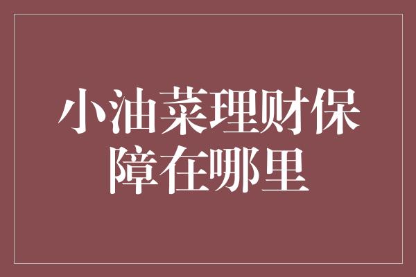 小油菜理财保障在哪里