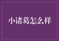 小诸葛真的那么聪明吗？揭秘背后的真相