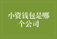 小资钱包：从创新支付到金融生态的构建者