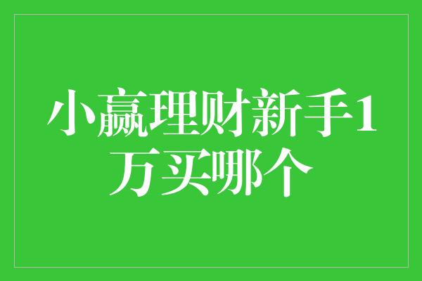 小赢理财新手1万买哪个