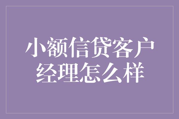 小额信贷客户经理怎么样