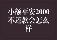 小额平安2000不还款会怎么样