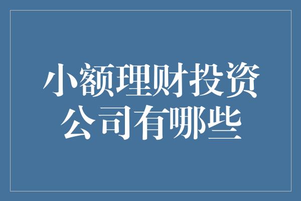 小额理财投资公司有哪些