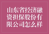 山东省经济融资担保股份有限公司：共创金融担保新时代