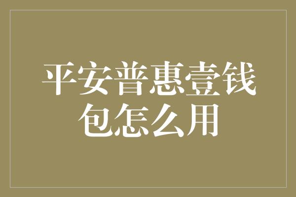 平安普惠壹钱包怎么用