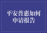 如何撰写一份成功的平安普惠申请报告