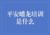 平安蟠龙培训：塑造卓越人才的摇篮