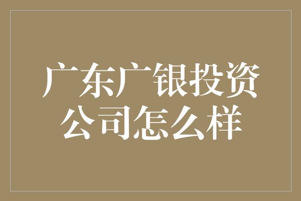 广东广银投资公司怎么样